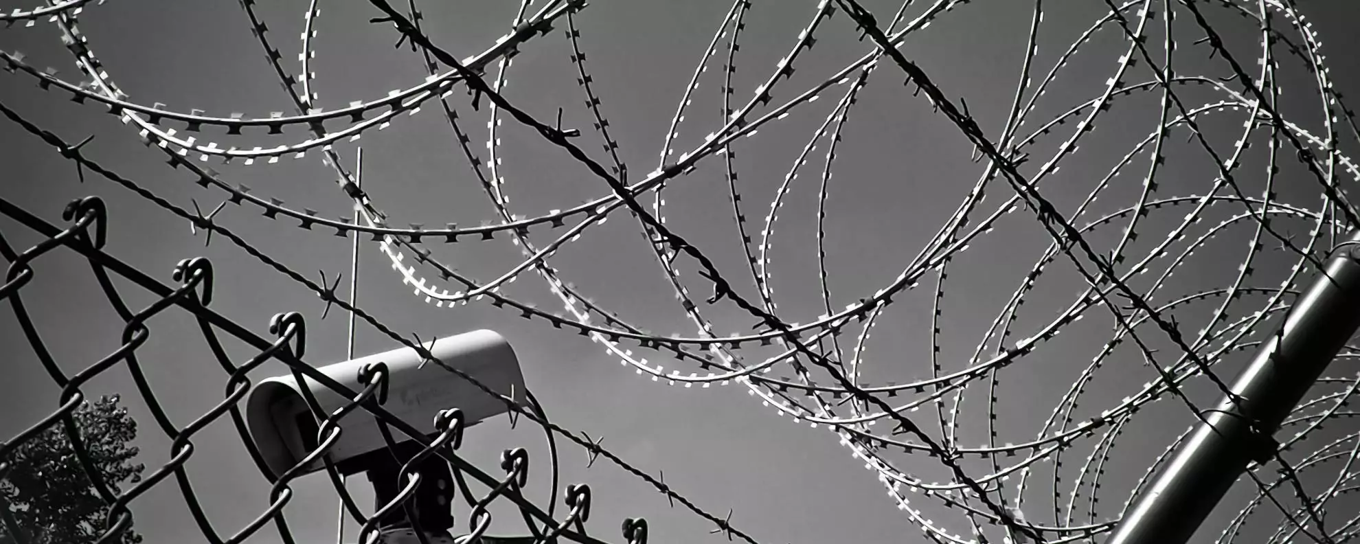 三振條款，三振了誰？