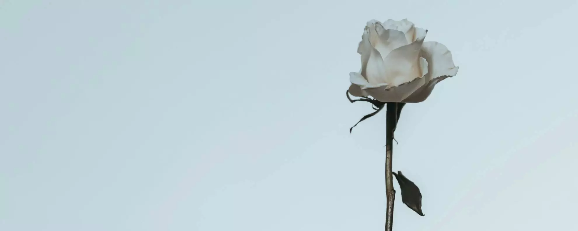 《專題導讀篇》在逆風中前行──性別事件與立法歷程回顧