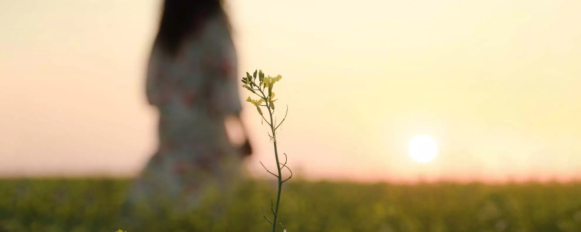 《被害支持篇》迎向再盛開的一天──陪伴走過性別暴力的權益與資源